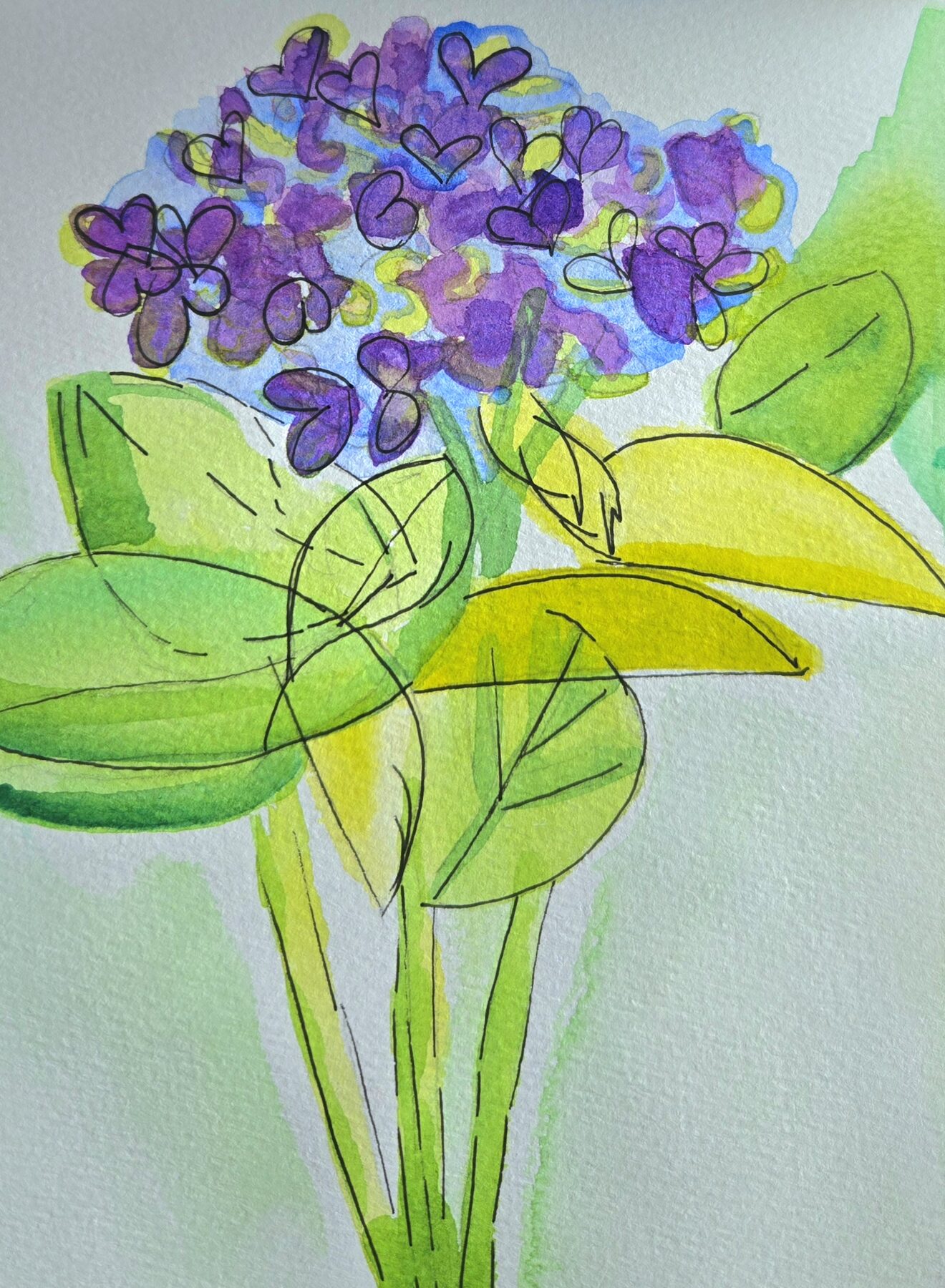 Watercolor hydrangea in purple over broad green leaves with black ink outlines
